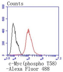 c-Myc (p Thr58) Rabbit anti-Human, Clone: SN60-01, Novus Biologicals 100 &mu;L | Buy Online | Novus Biologicals | Fisher Scientific